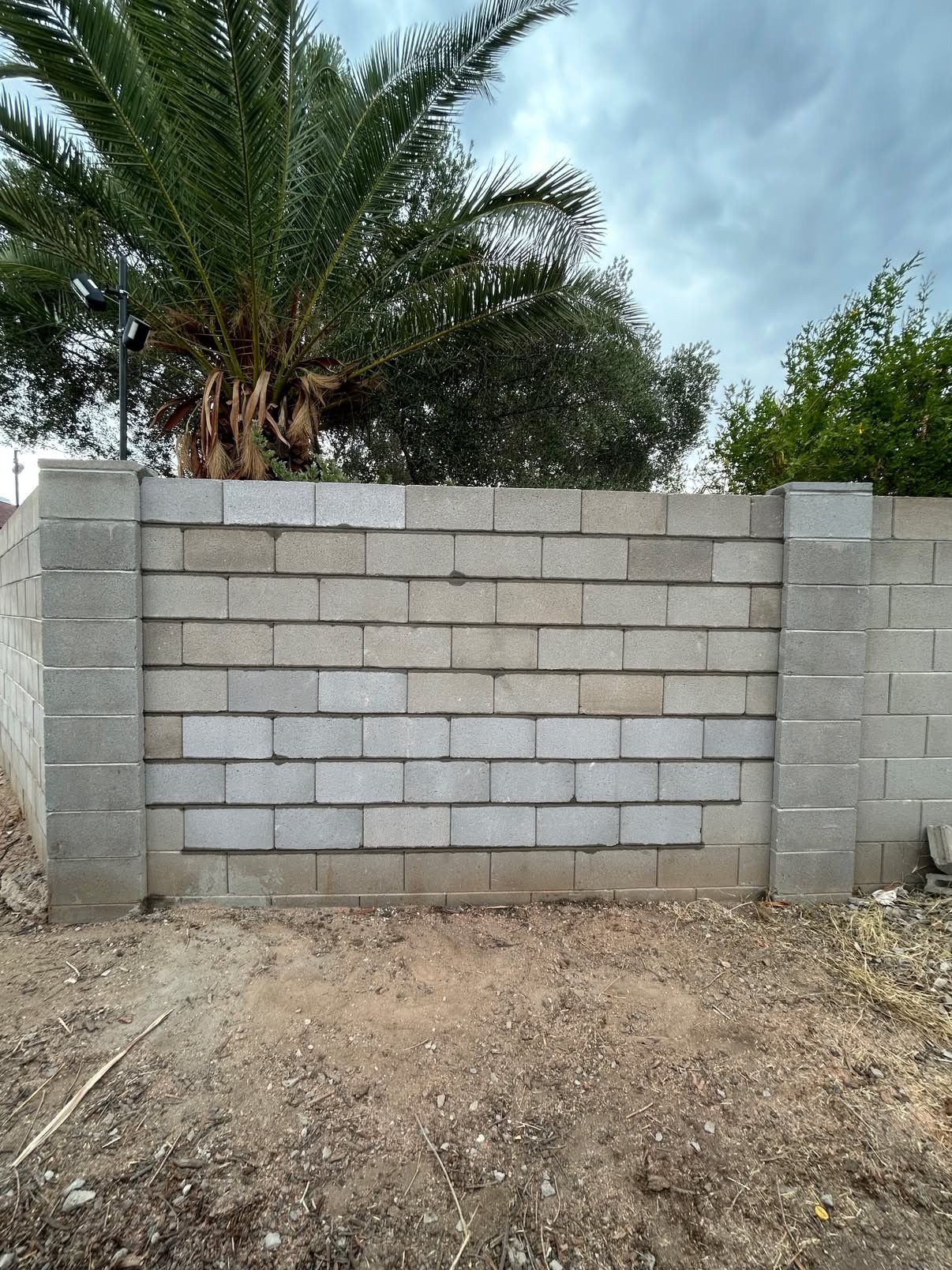 Tree-Damaged Wall Replacement — after